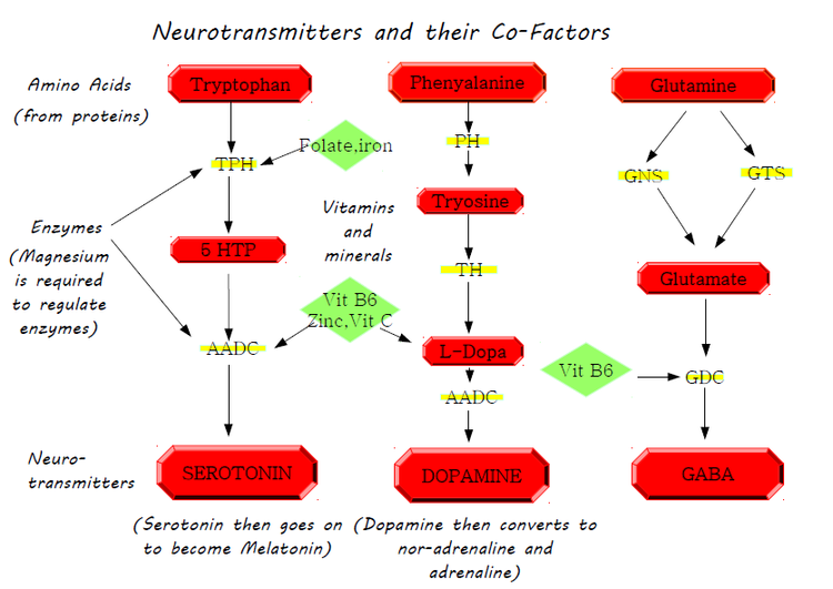 Mood Neurotransmitters